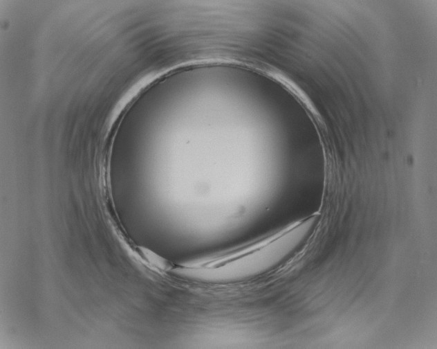 X0000068771101200605191642