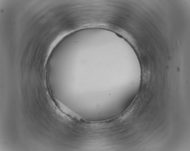 X0000068771102200605191642