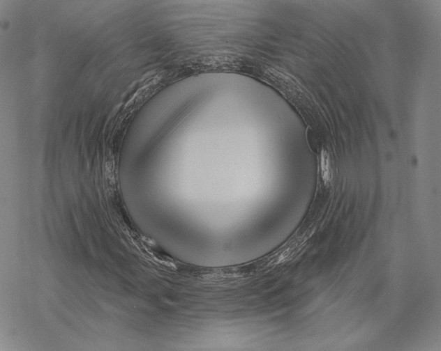 X0000068771107200605191641