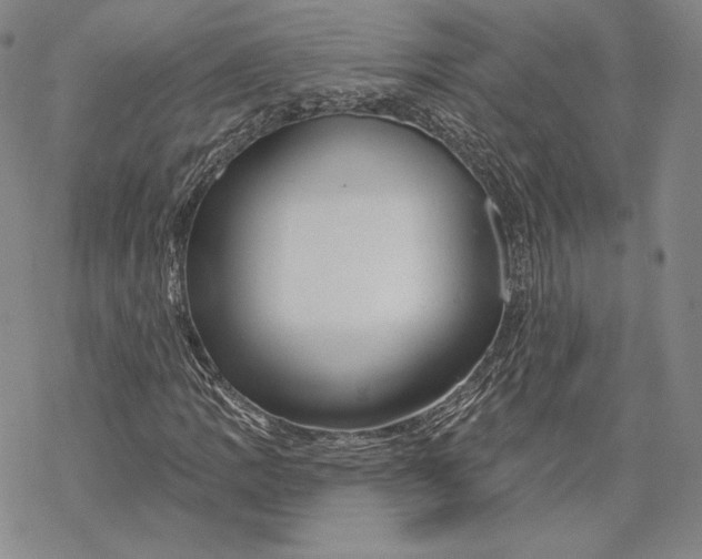 X0000068771109200605191641