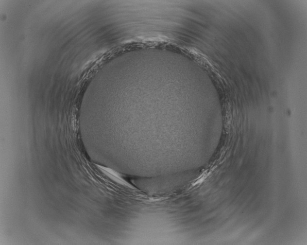 X0000068771110200605191641