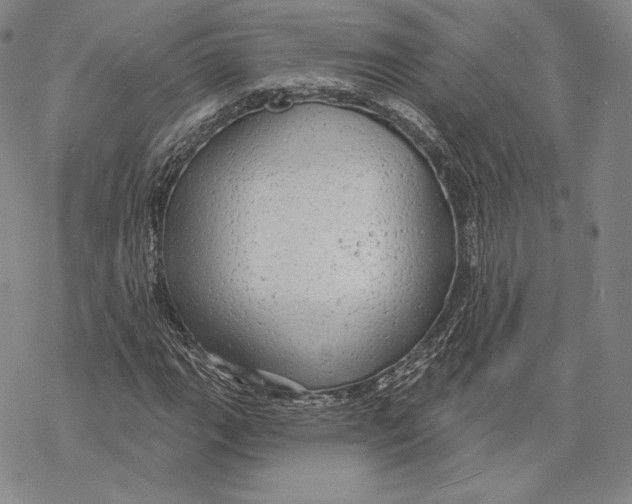 X0000068771111200605191641