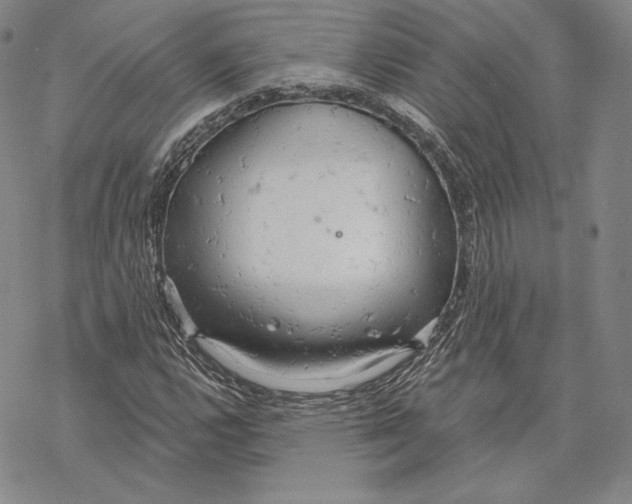 X0000068771112200605191641