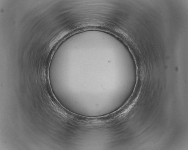 X0000068771113200605191641