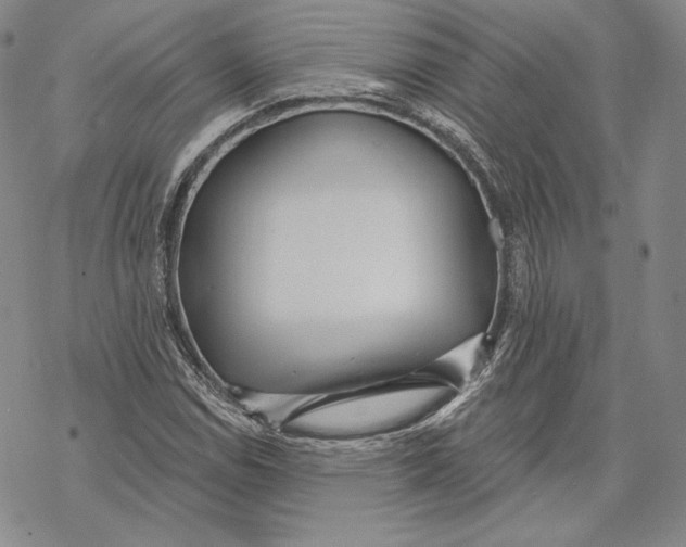 X0000068771114200605191641