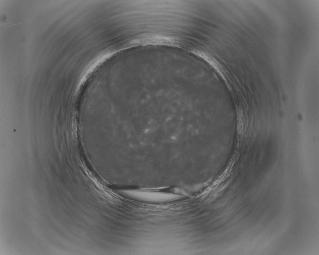 X0000068771115200605191641