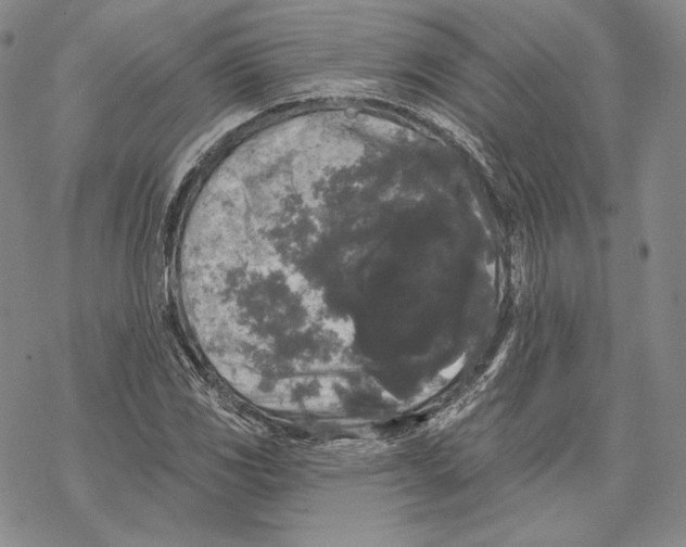 X0000068771117200605191641