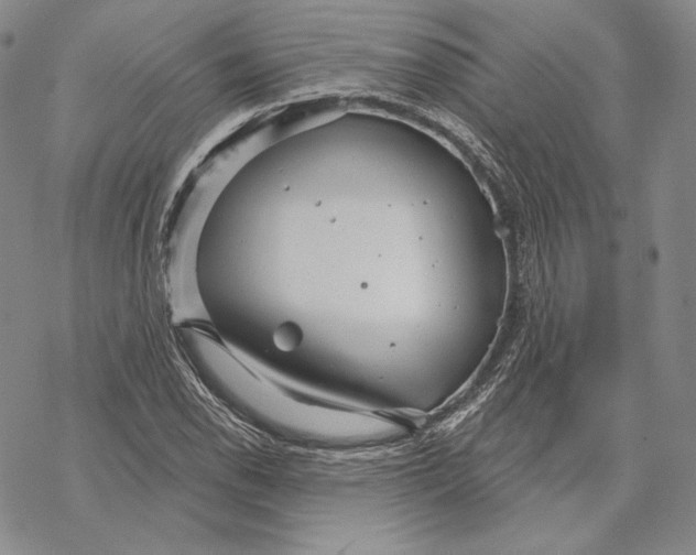 X0000068771118200605191641