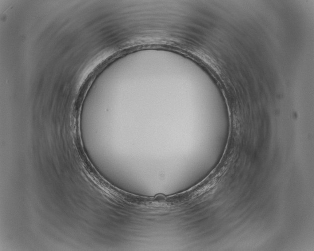 X0000068771119200605191641