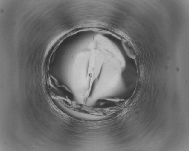 X0000068771120200605191641