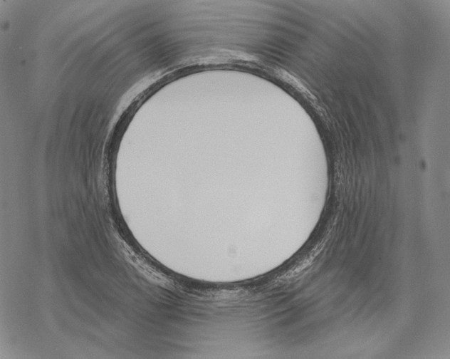 X0000068771122200605191641