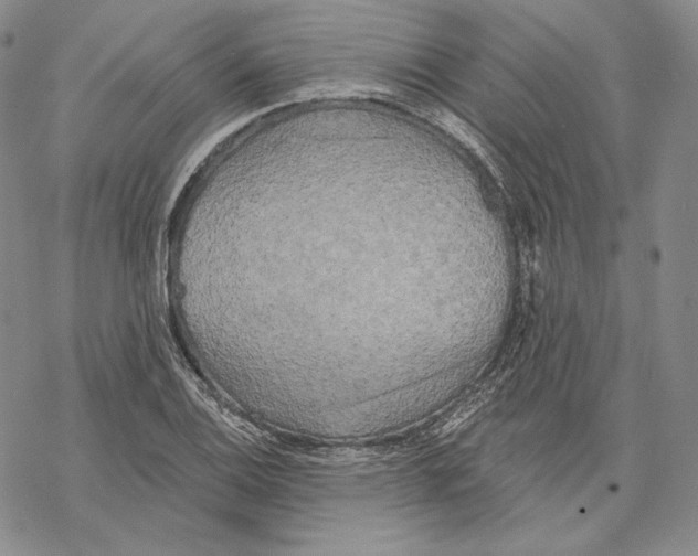 X0000068771124200605191641