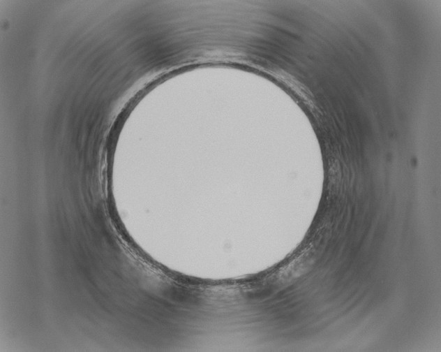 X0000068771126200605191641