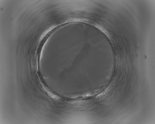 X0000068771127200605191641