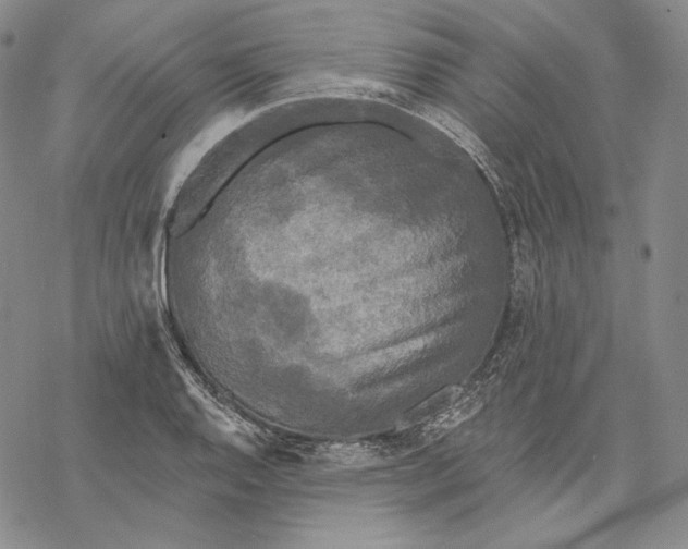 X0000068771128200605191641