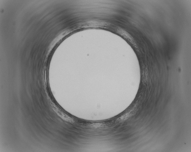 X0000068771130200605191641