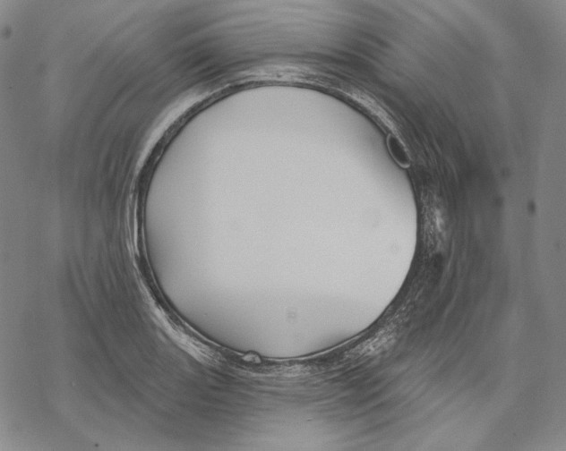 X0000068771131200605191641