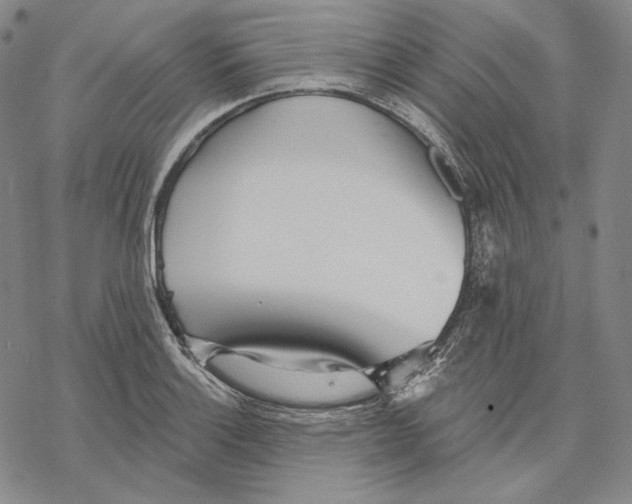 X0000068771132200605191641