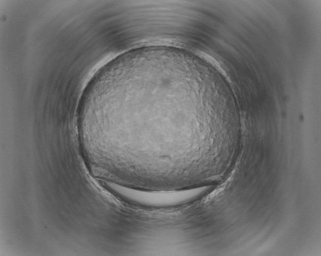 X0000068771133200605191641