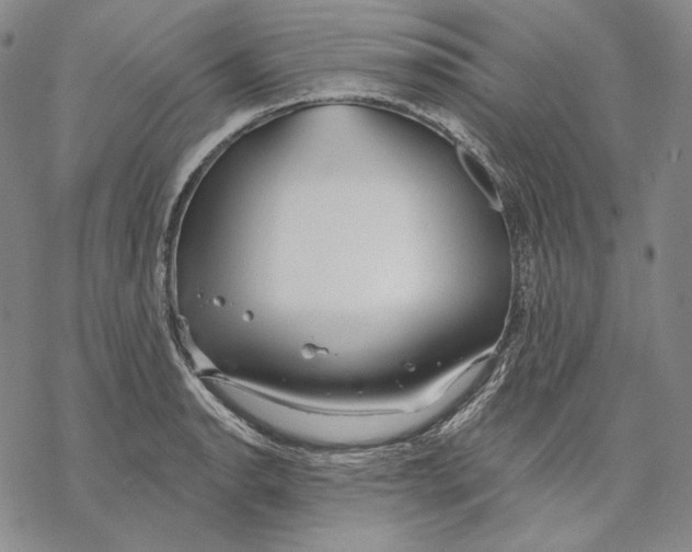 X0000068771134200605191641