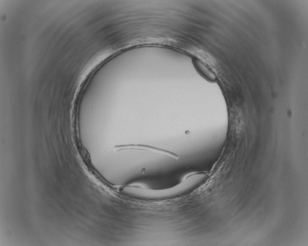 X0000068771135200605191641