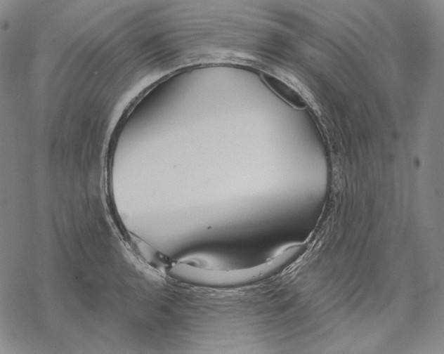 X0000068771136200605191642