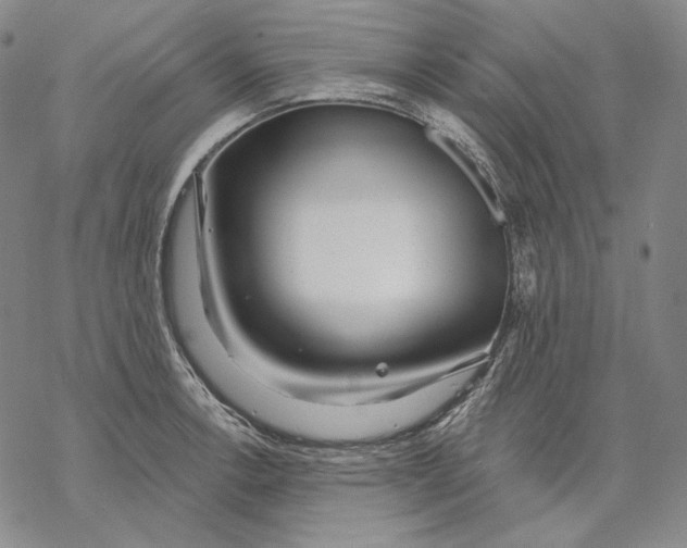 X0000068771138200605191642