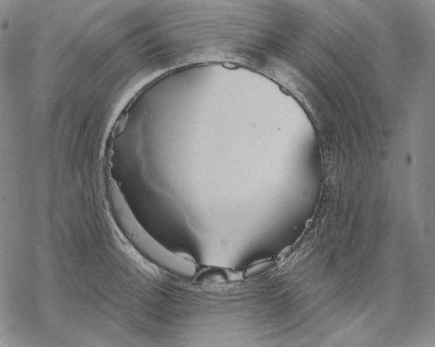 X0000068771140200605191642