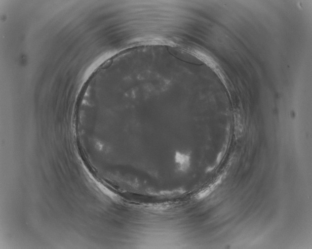 X0000068771141200605191642