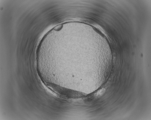 X0000068771143200605191642