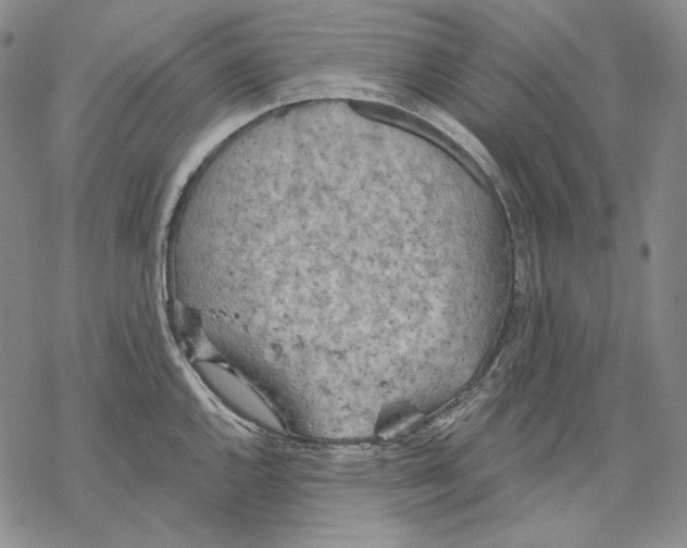 X0000068771144200605191642