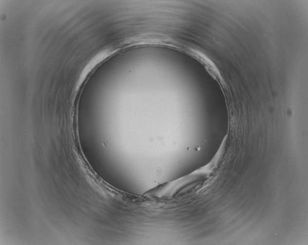 X0000068771146200605191642