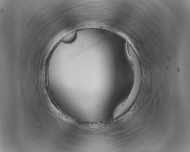 X0000068771147200605191642