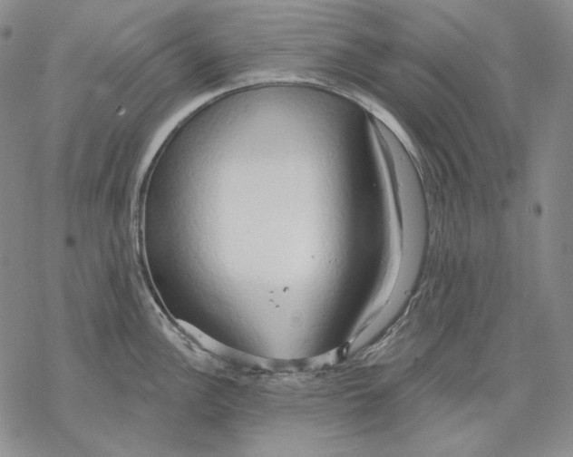 X0000068771148200605191642