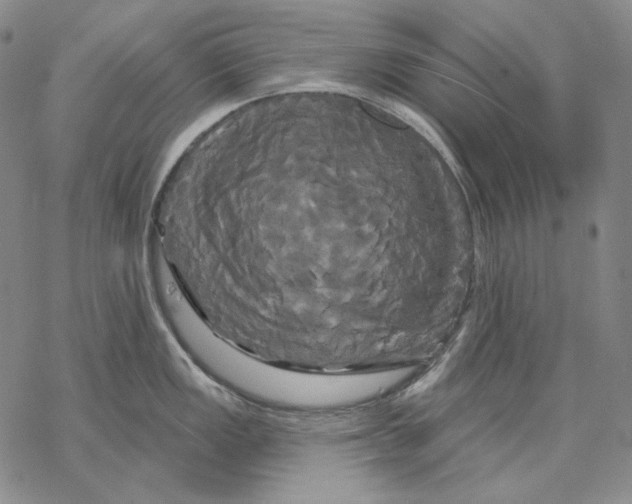 X0000068771149200605191642