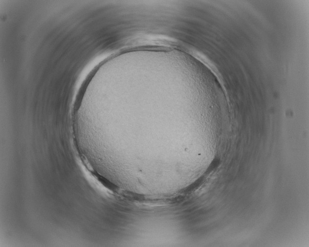 X0000068771152200605191642