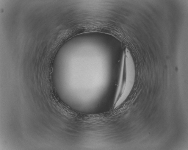 X0000068771153200605191641