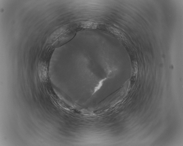 X0000068771154200605191641