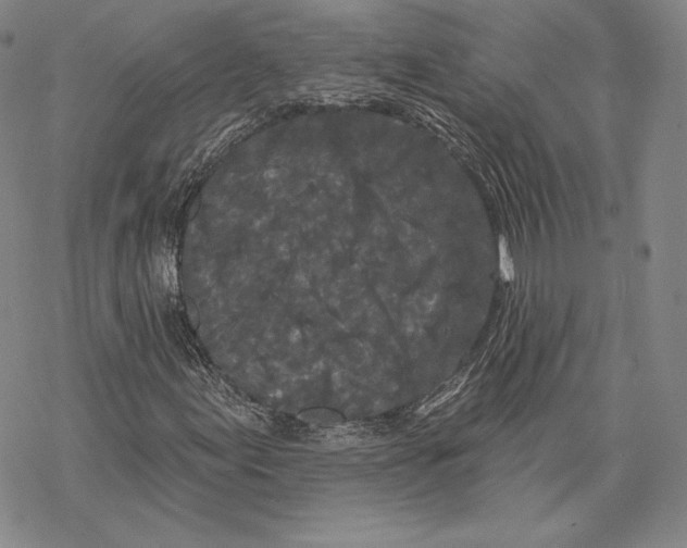 X0000068771155200605191641