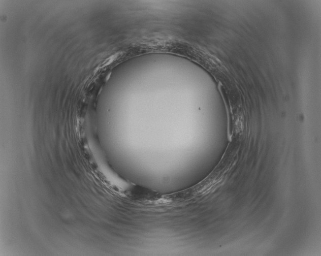 X0000068771156200605191641