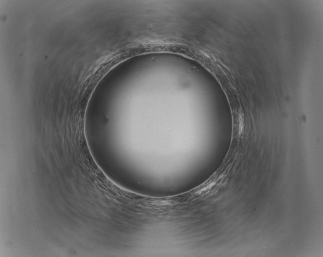 X0000068771157200605191641