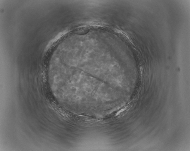 X0000068771159200605191641