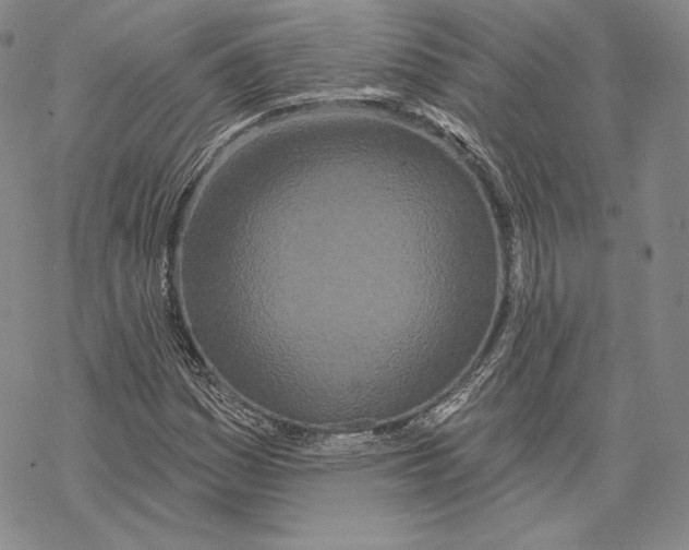 X0000068771161200605191641