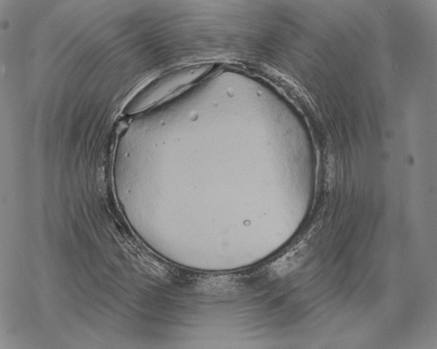 X0000068771162200605191641