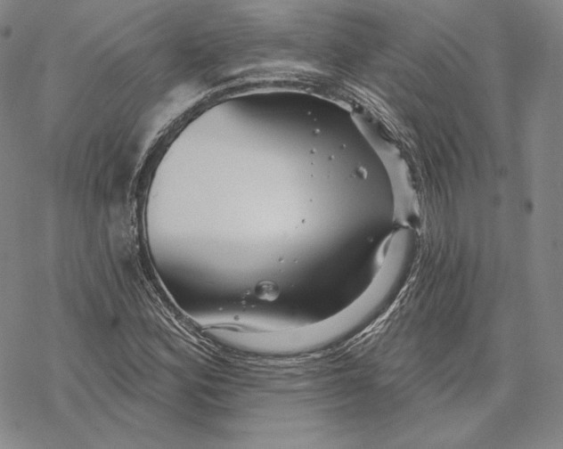 X0000068771164200605191641