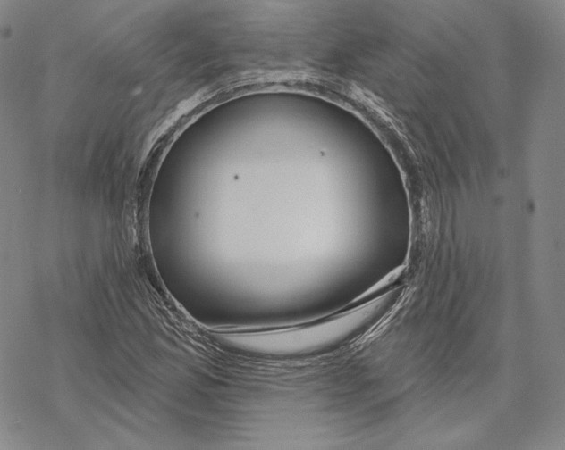 X0000068771165200605191641