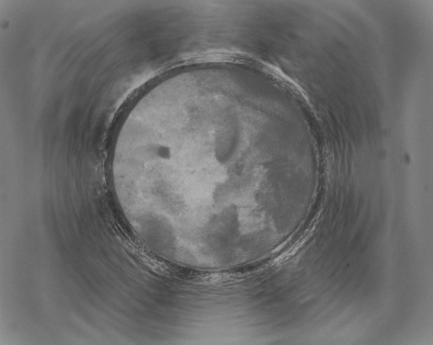 X0000068771166200605191641