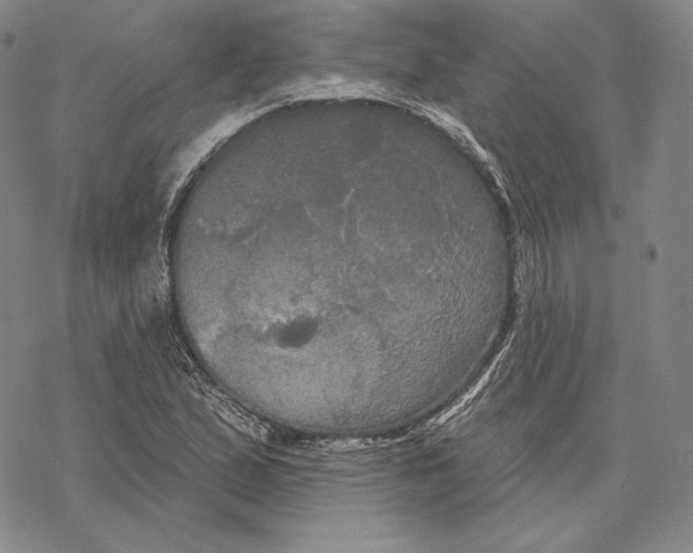 X0000068771167200605191641