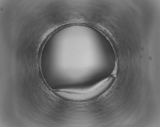 X0000068771168200605191641