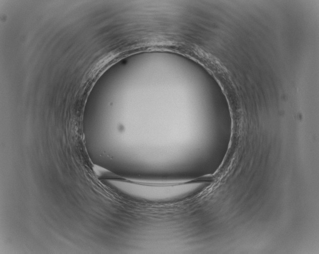 X0000068771169200605191641